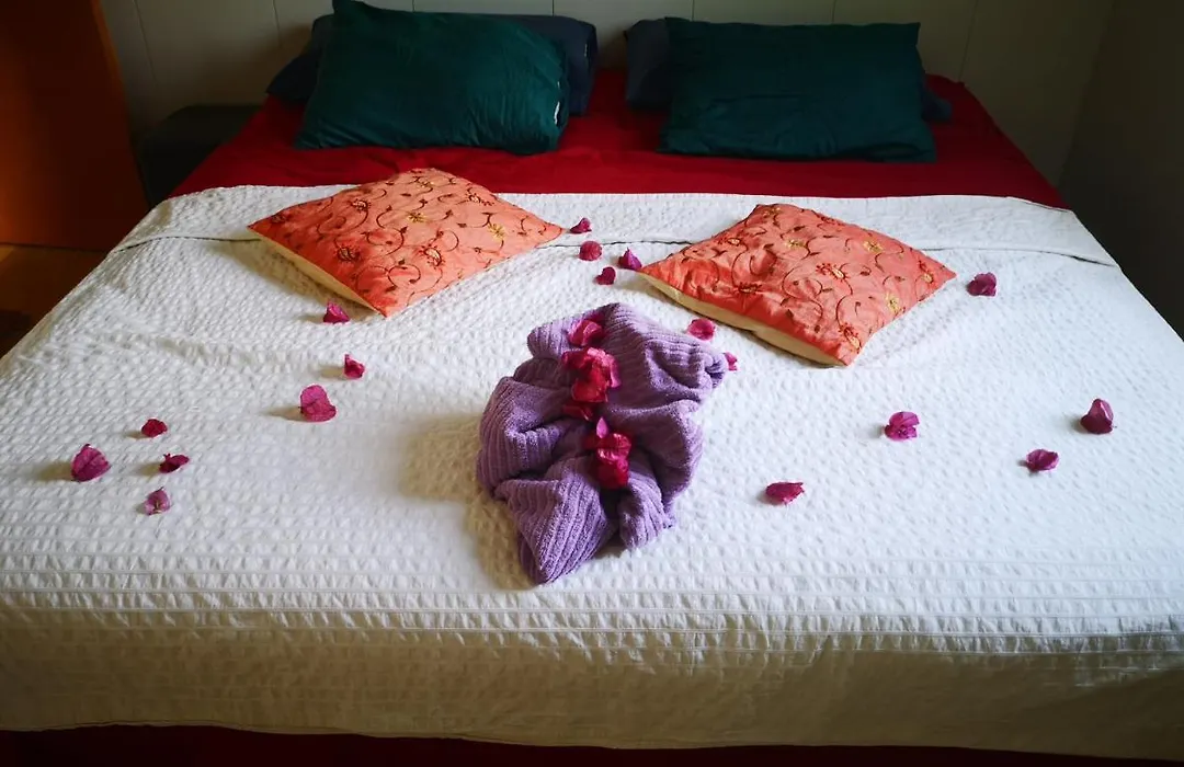 Yumbo Room-1