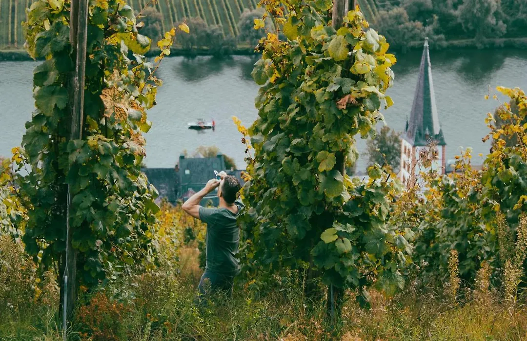 Boutique Guesthouse Das WOHLGEMUTH HEIM Mosel Weingut-1
