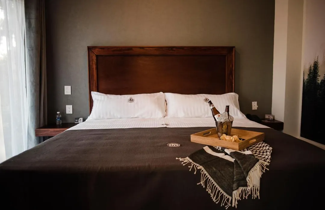 Hotel Rm Avandaro-1