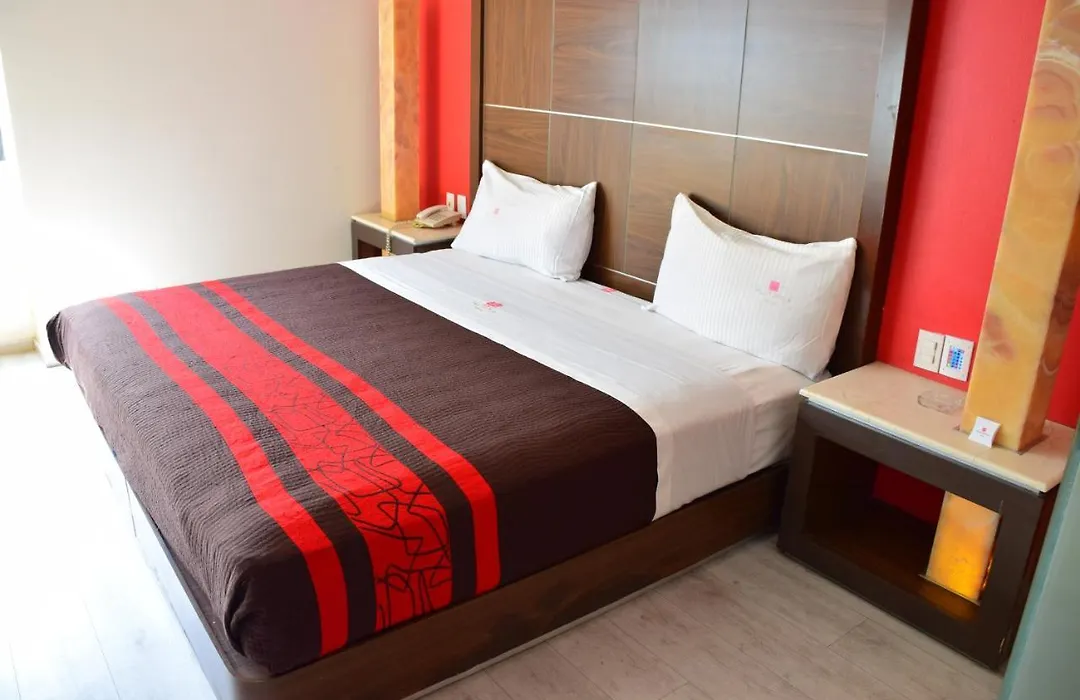 Plutarco Suites-1
