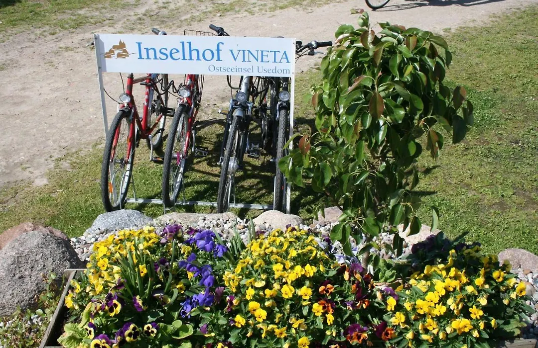 Vineta Haus Schwalbe-1
