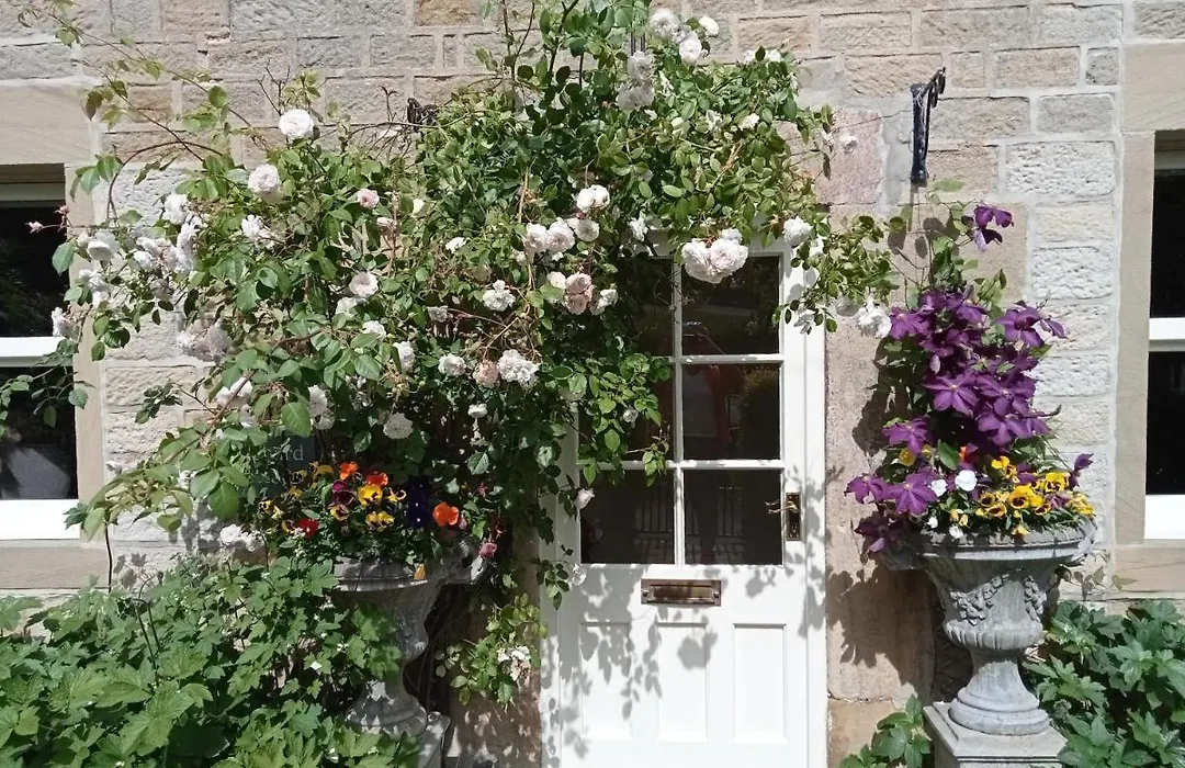 Orchard Cottage-1