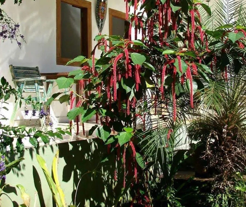 Pousada Villa Da Gama-1