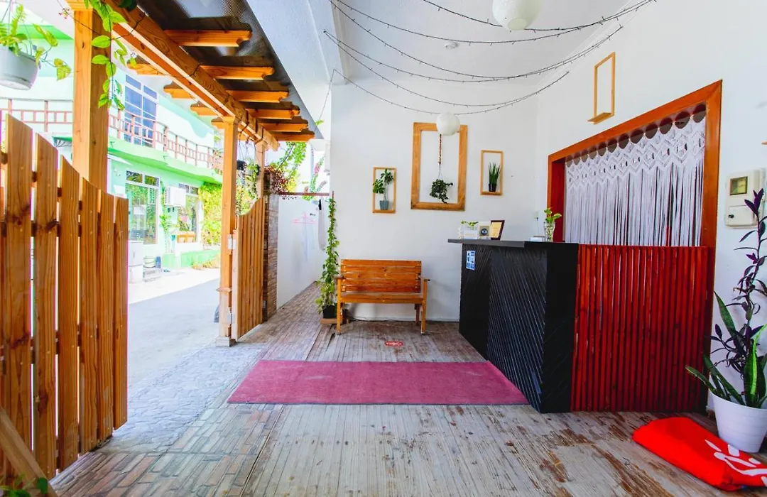 Alaika Maafushi-1