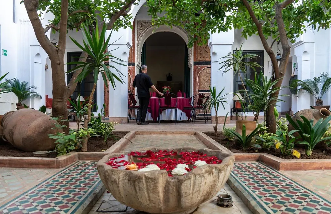 Riyad El Cadi-1