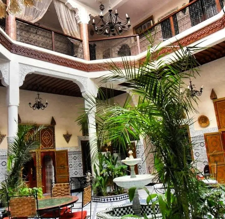 Riad Chennaoui-1