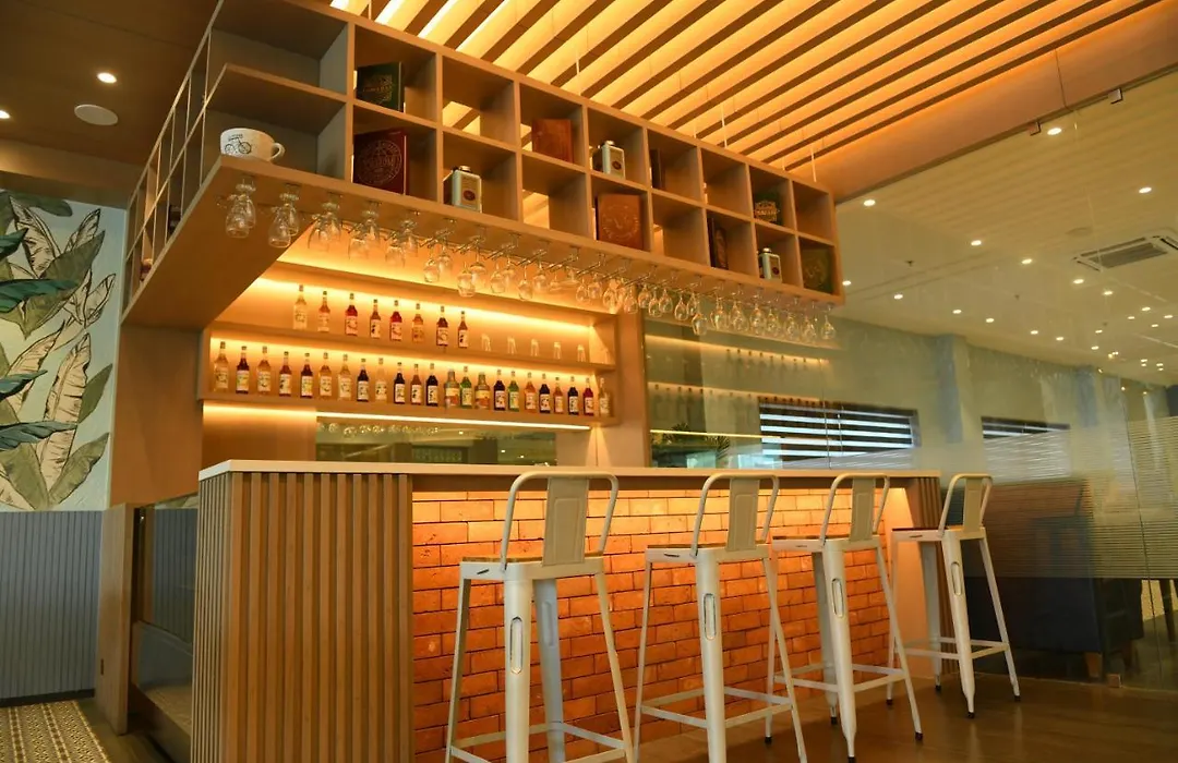Hotel Blueivy Anand-1