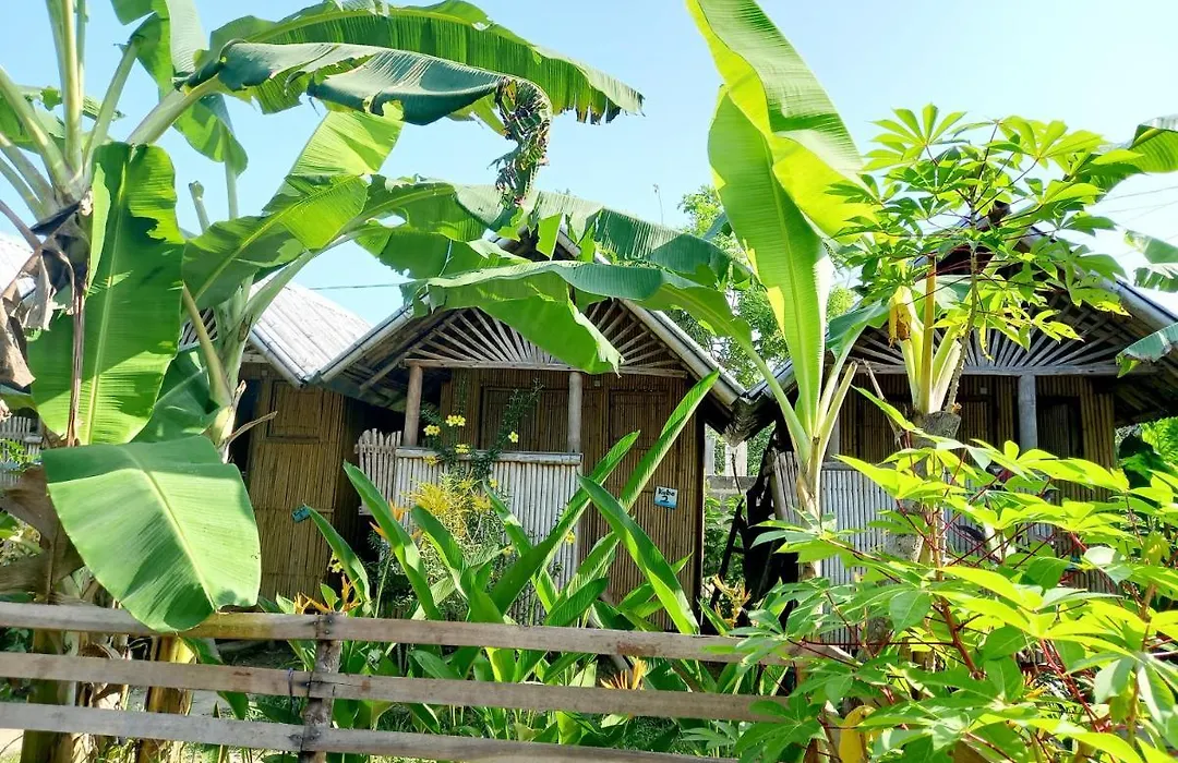 Banana Grove El Nido-1