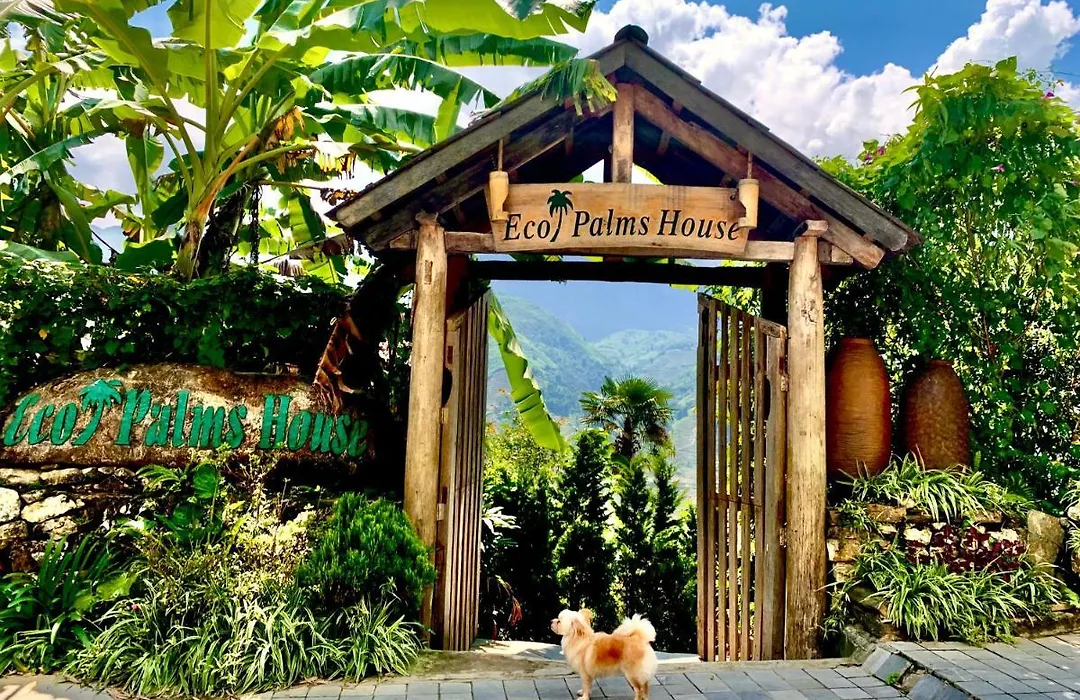 Eco Palms House - Sapa Retreat-1