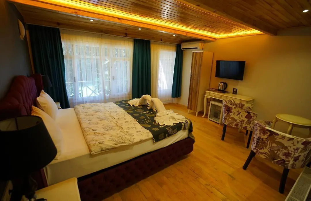 Alesta Butik Otel-1