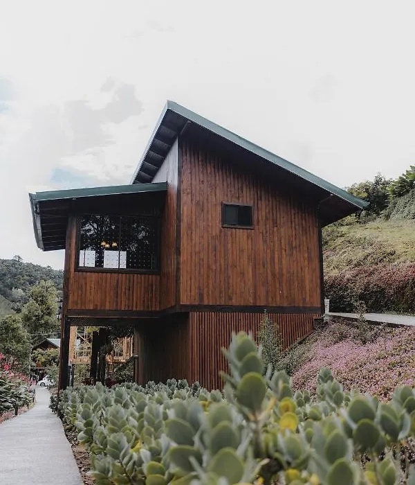 Lauraceas Lodge-1