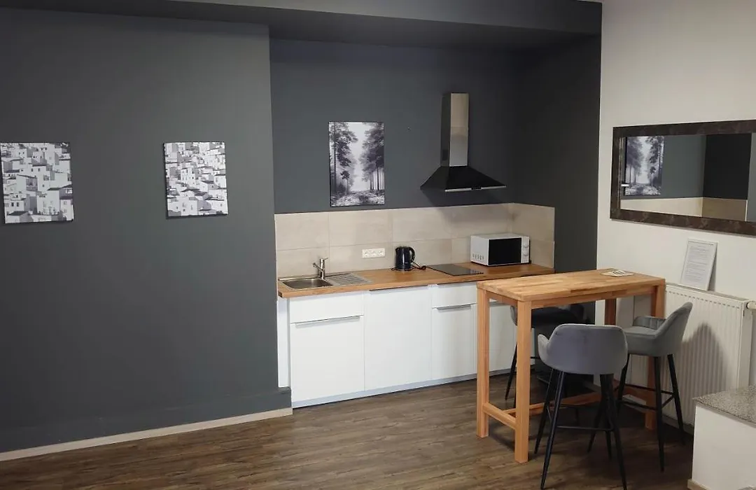 Maxim Apartments Mainz-1
