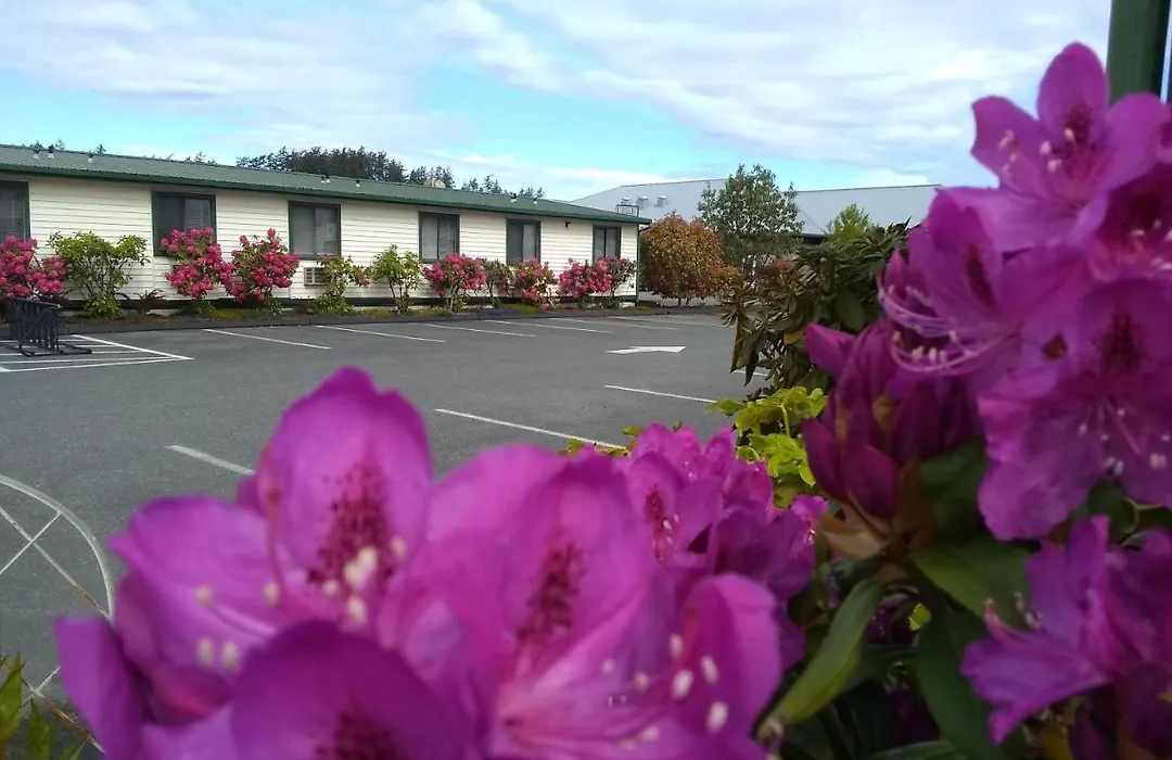 The Orca Inn-1