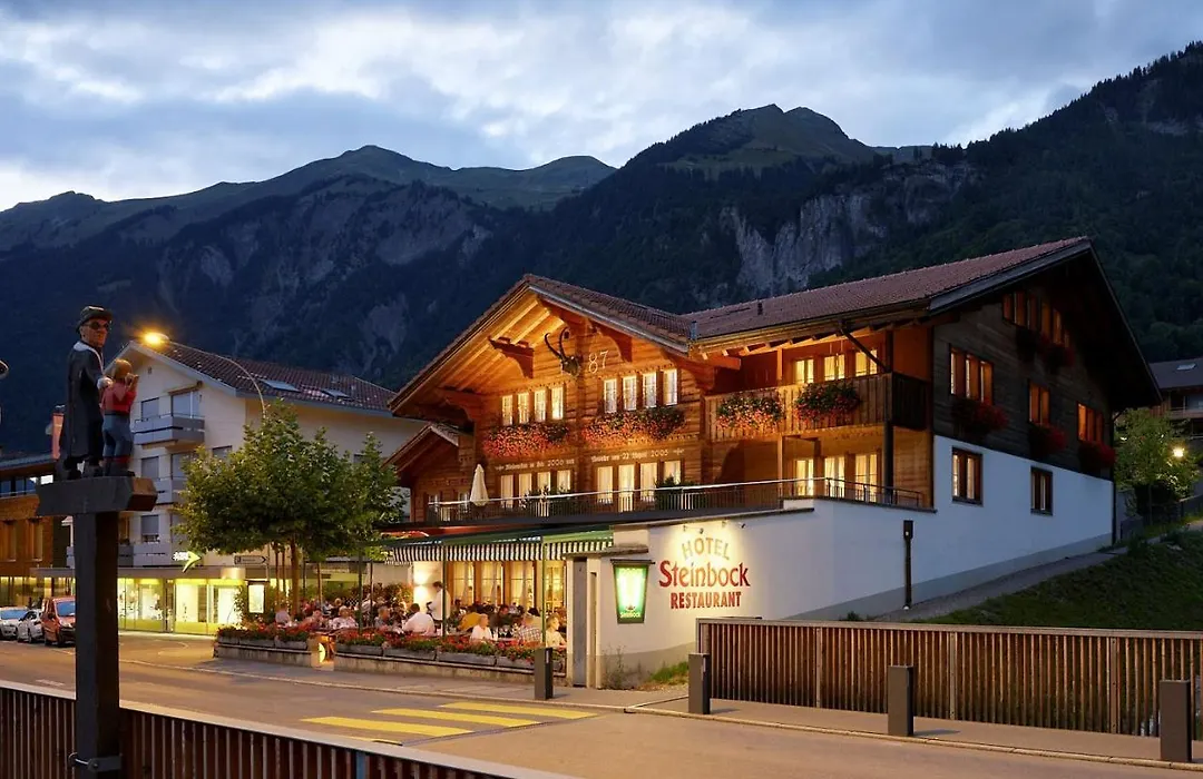 Hotel Steinbock-1