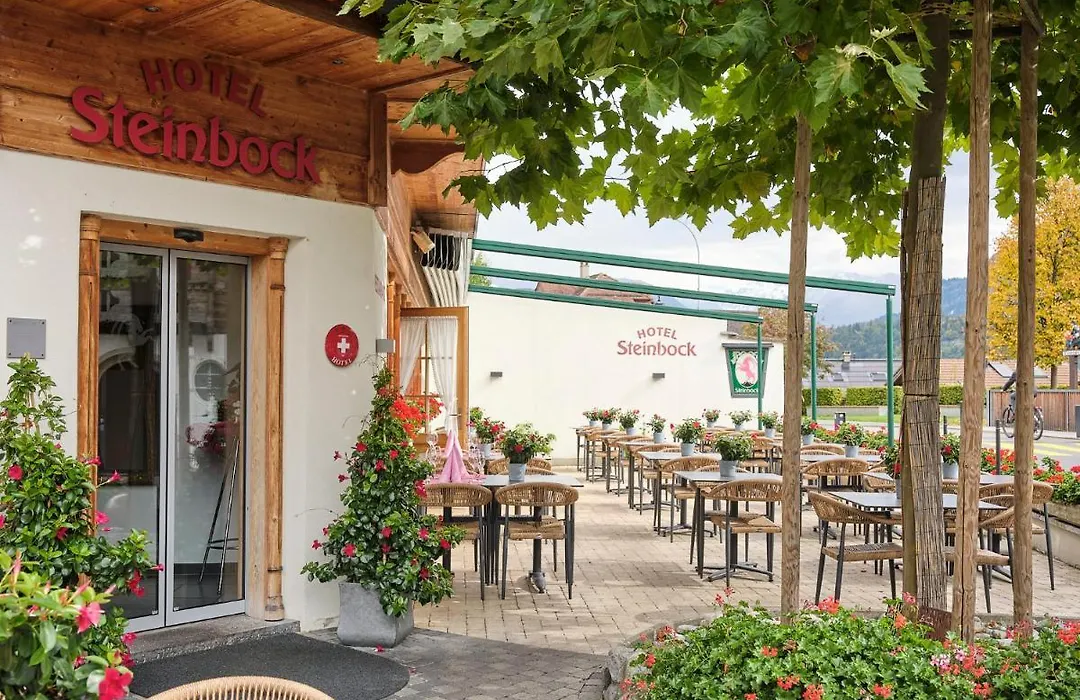 Hotel Steinbock-1