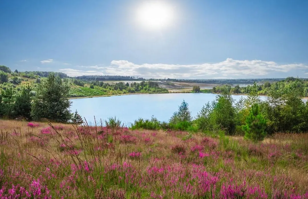 Landal Mooi Zutendaal-1