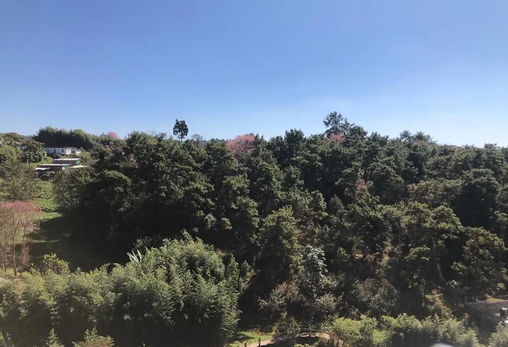 Pine Hill Comfort Stay-1