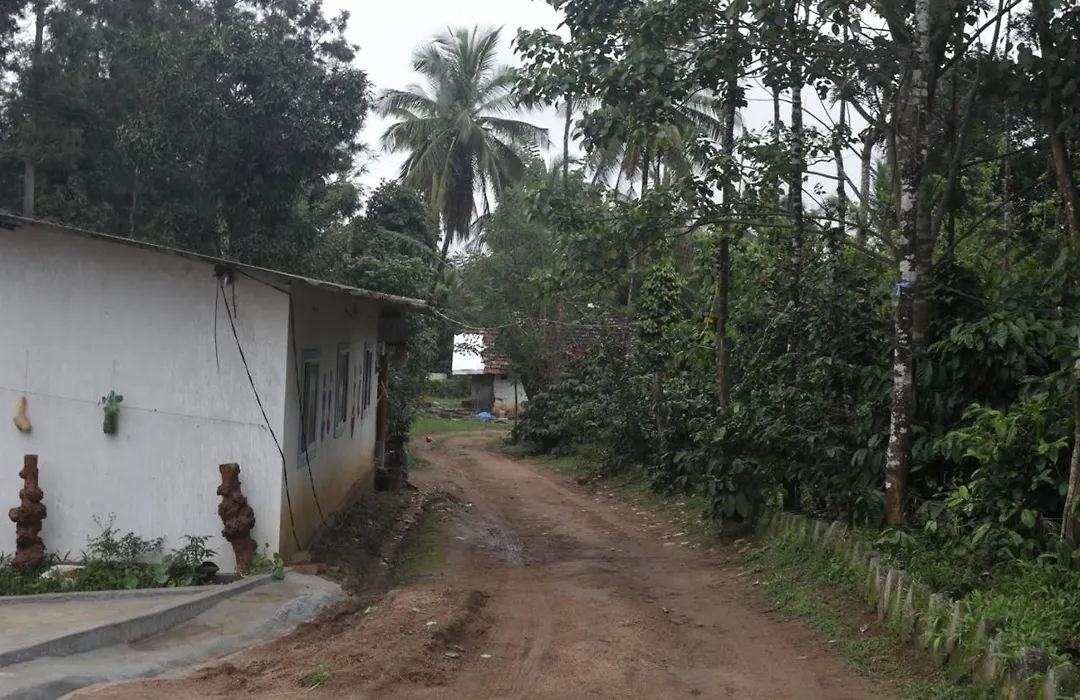 Stoneage Resort Sakleshpur-1