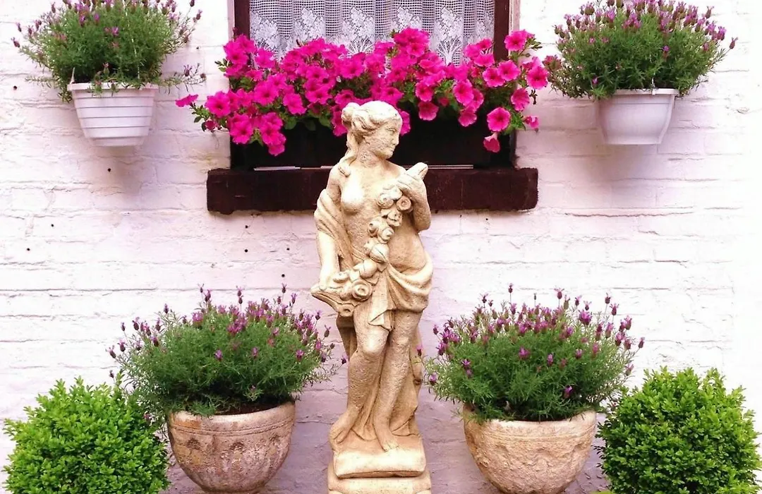 Hotel Der Schwan-1