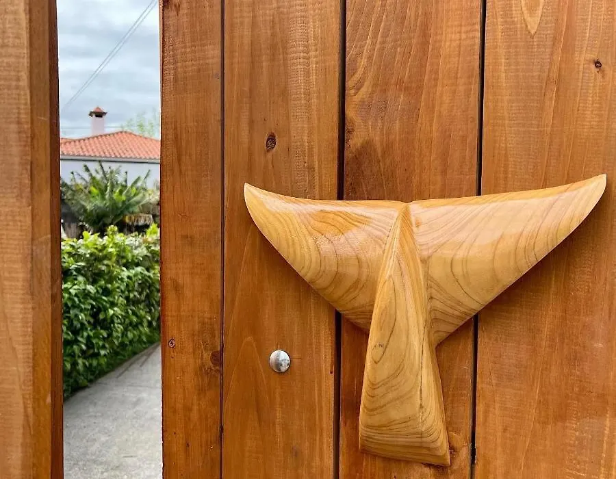 Azores Bagus Surf House-1
