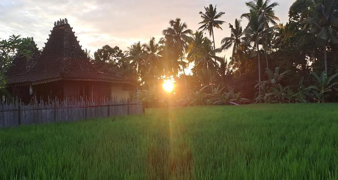 Galang Hari Villa-1