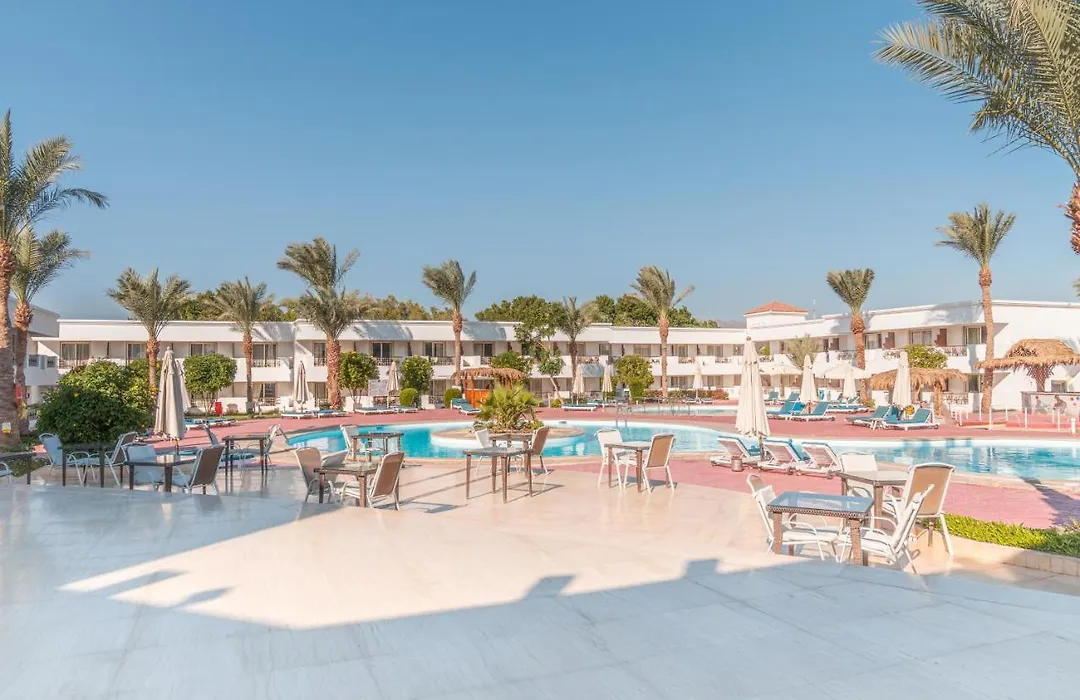 Viva Sharm-1