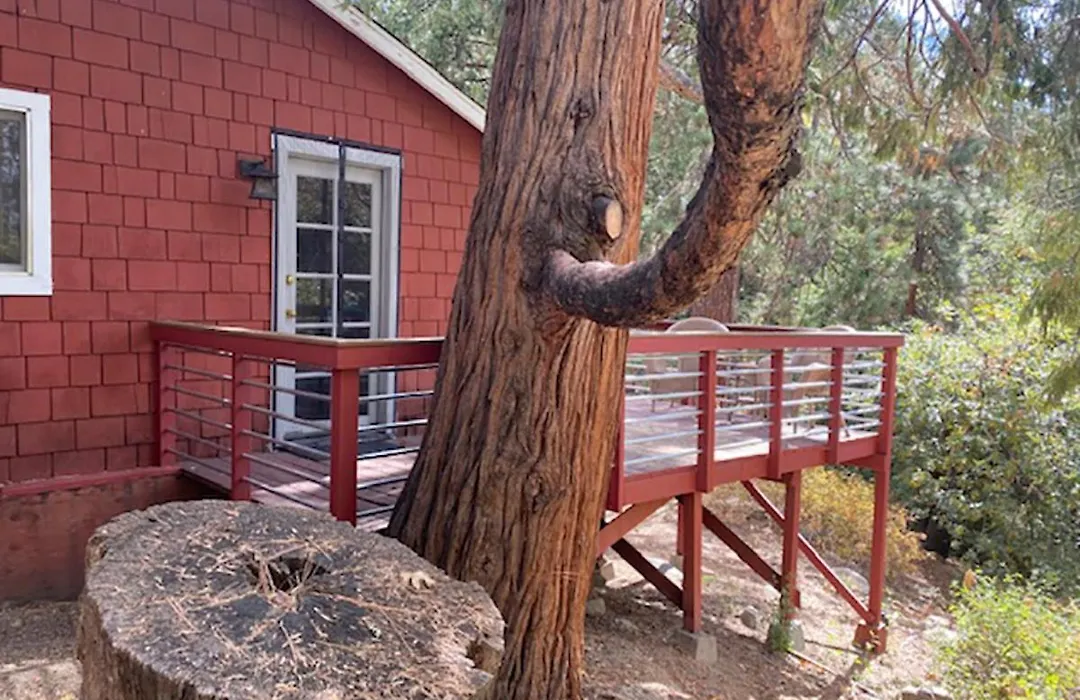 Silver Pines Lodge-1
