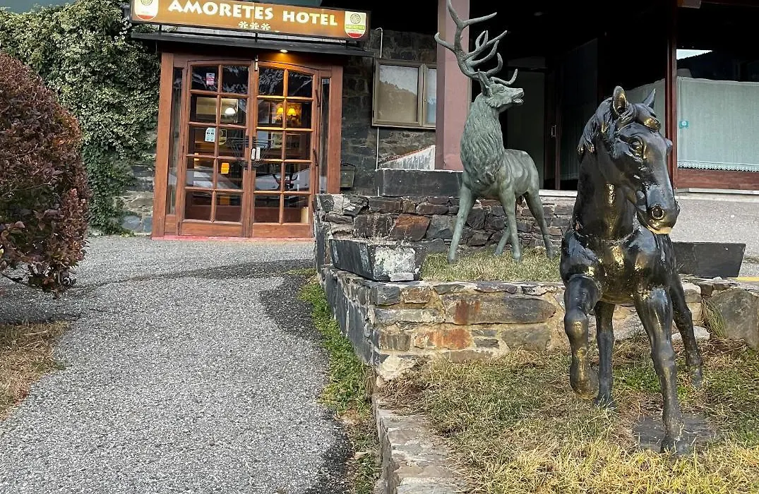 Hotel Amoretes-1