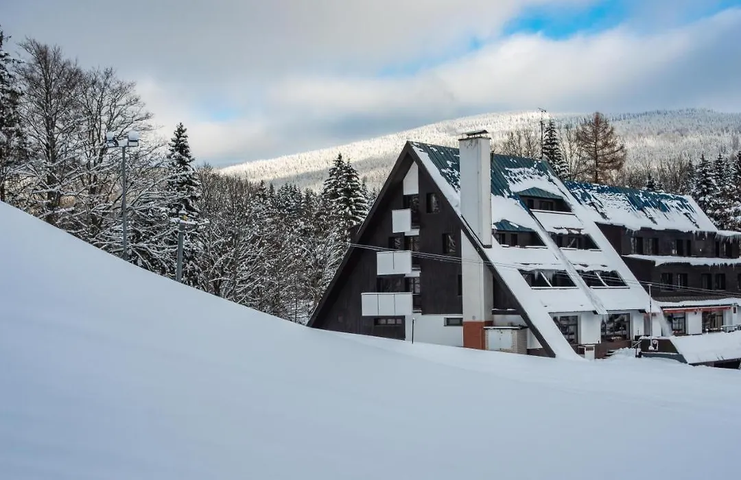 Wellness Hotel Šedý Vlk-1