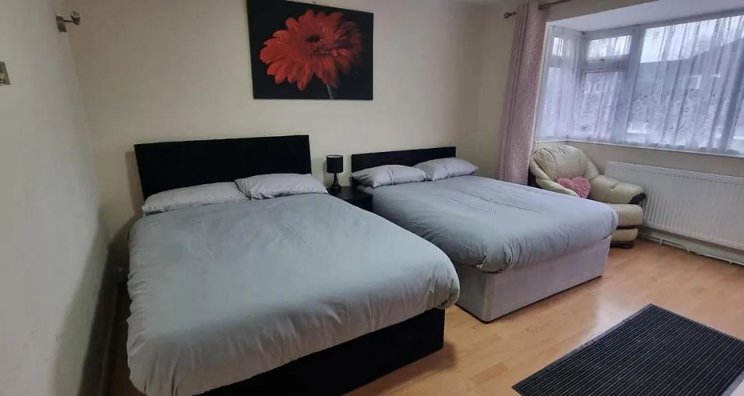 Star Homes-1