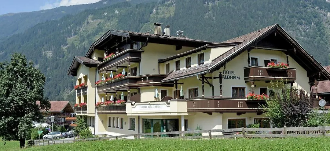 Hotel Waldheim-1