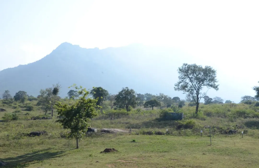 Aarraams Farms & Resorts-1