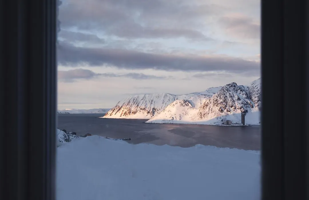 The View-1