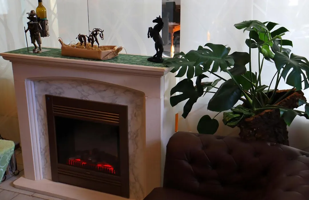 Schwarzes Ross Hotel & Restaurant Oberwiesenthal-1