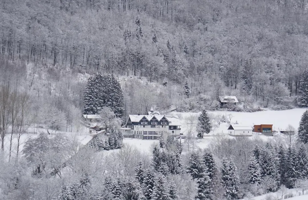 Waldhotel Schinkenwirt-1