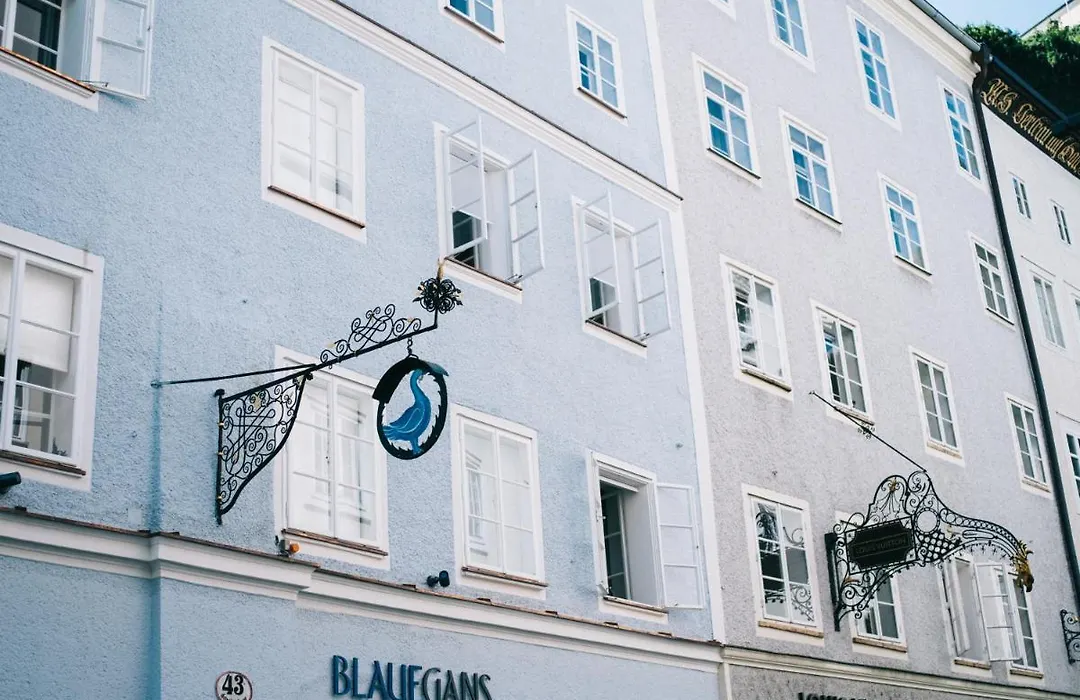 Arthotel Blaue Gans-1