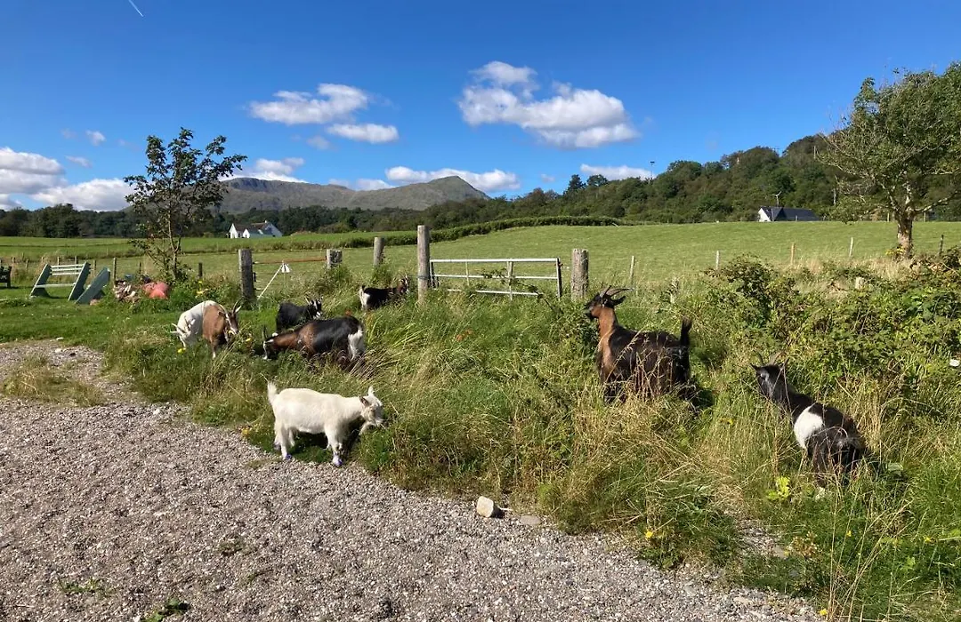 Highland Croft B&B-1