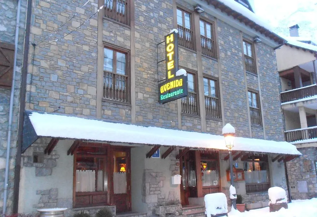 Hotel Avenida Benasque-1