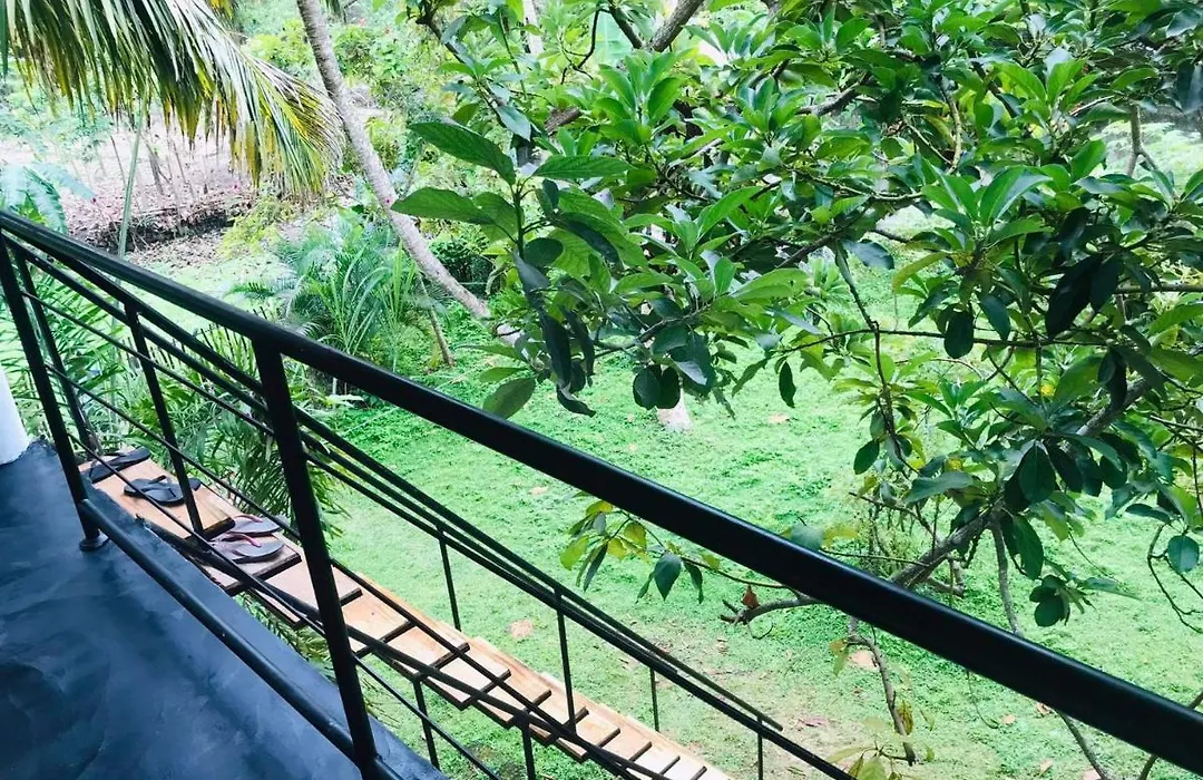 Nature Inn-1