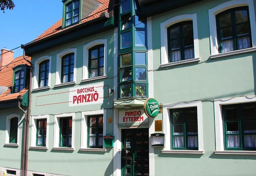 Bacchus Panzió Hotel-1