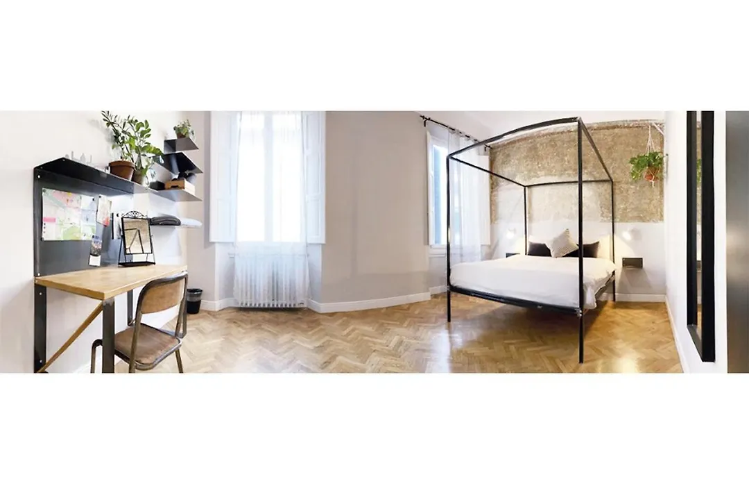 Domus 19-1