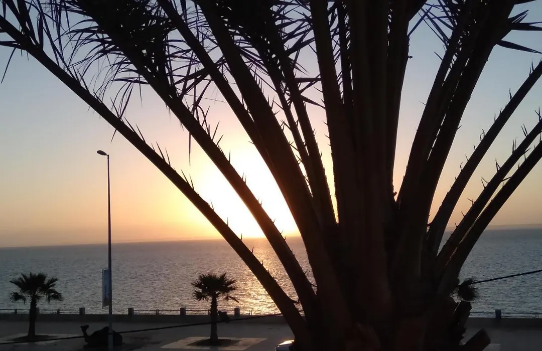 La Maison Jaune Dakhla Maison D'Hotes-1