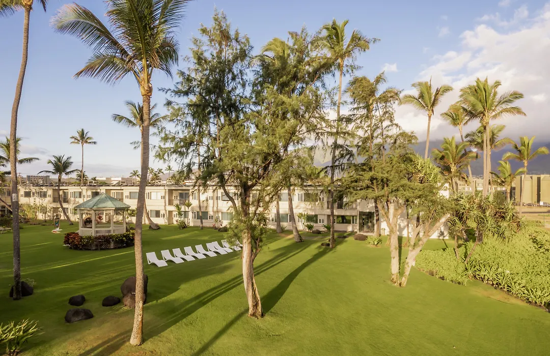 Maui Beach Hotel-1