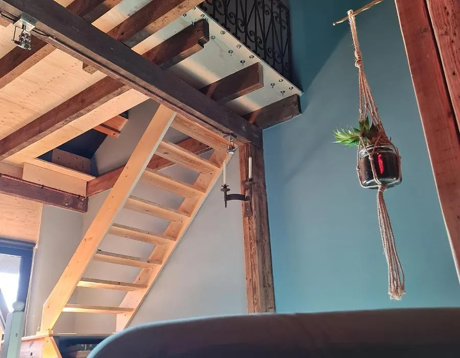 Vet - Bed & Breakfast-1