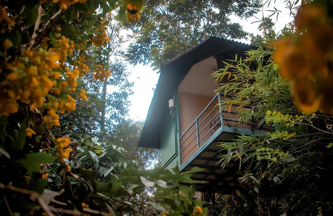 Edens Munnar-1