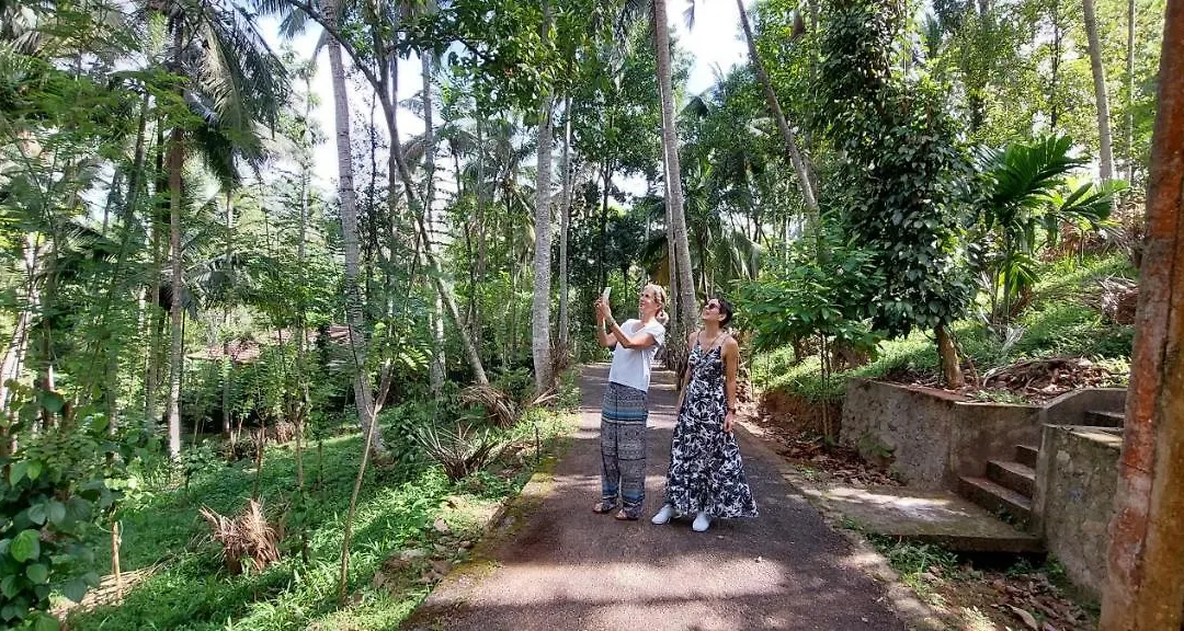 Windy Ridge Kandy-1