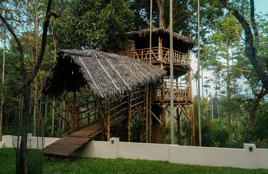 Vanajyotsna Forest Home-1