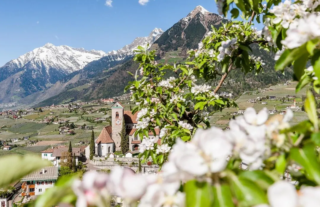 Hotel Rosengarten (Schenna Resort)-1