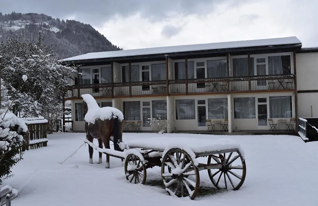 Jungfrau Hotel Annex Alpine-Inn-1