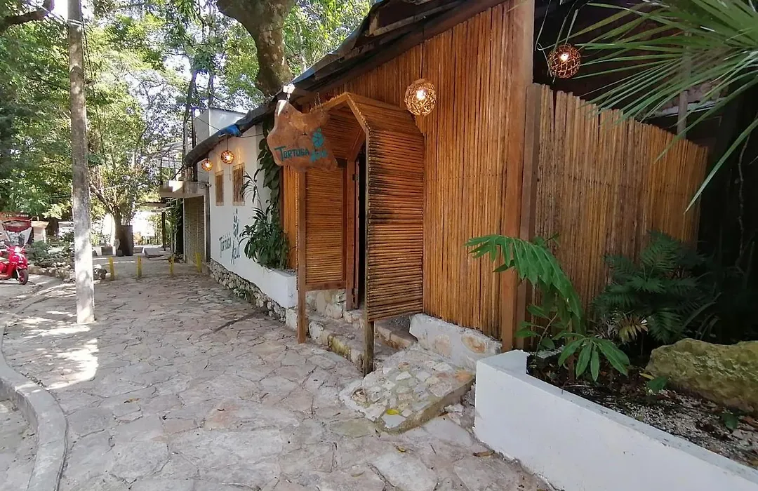 Casa Tortuga Azul-1